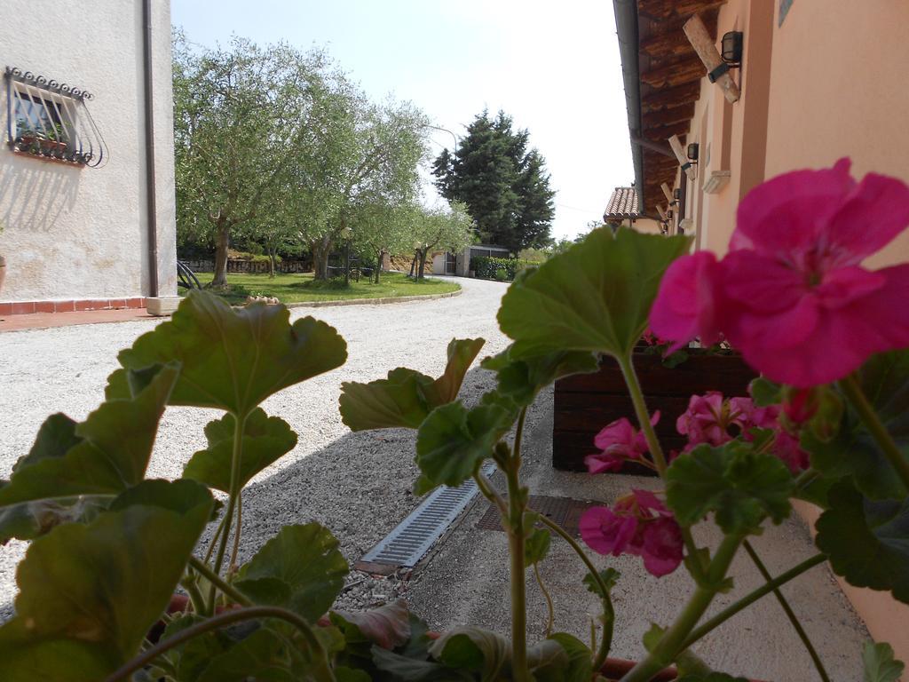 Santa Croce Villa Fossato di Vico Eksteriør bilde